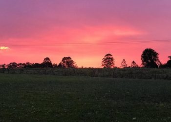 Flyin’ (not Cryin’) Time