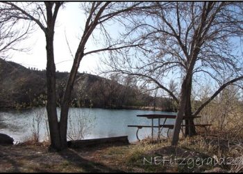 Lens Envy And A Joshua Hawk