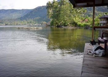 Squishy Squiggly Lake Things