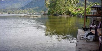 Squishy Squiggly Lake Things