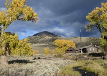 One Last Summer Glance