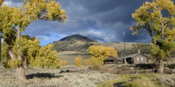 One Last Summer Glance