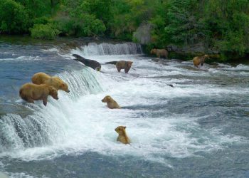 Organized At Last (sort of)