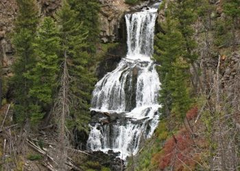 Random Notes From The Northern Yellowstone Landscape