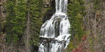 Random Notes From The Northern Yellowstone Landscape