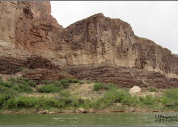 Living the Dream, Day 4 – A Last Look at the Tapeats